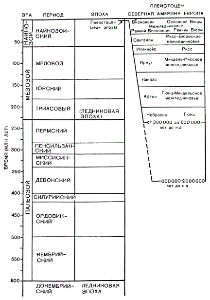 Временная шкала. Палеозой. Мезозой. Кайнозой