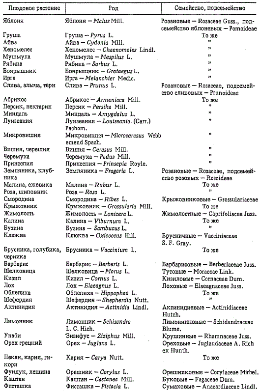 Систематическая принадлежность плодовых растений