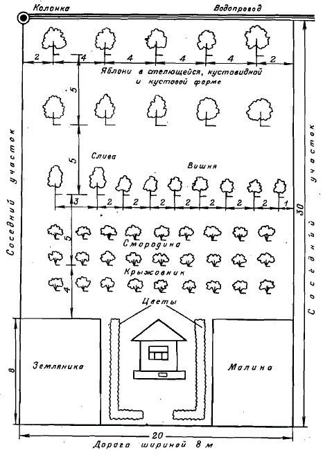 Примерная схема размещения растений на участке коллективного сада