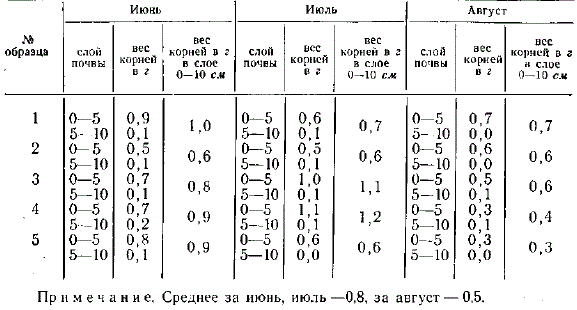 Количество живых корней дна метро и менее 0,3 мм в слое почвы 0—10 см под дубом III бонитета в г на 1 л почвы (из работы Е. М. Борискиной)