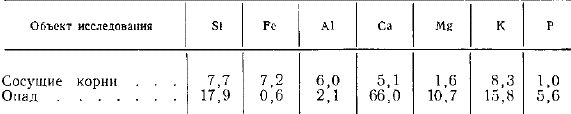 Сопоставление содержания элементов в сосущих корнях и в опаде дубового леса, кг/га