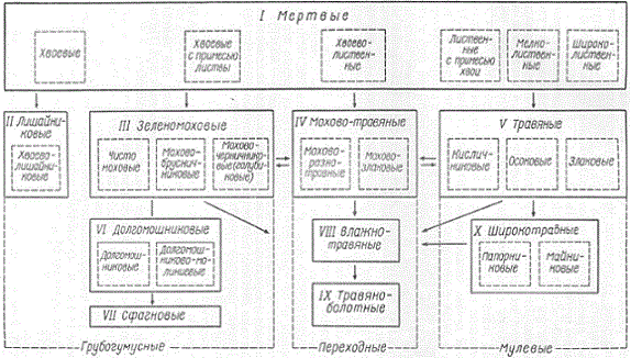 Классификация лесных подстилок (схема Н. Н. Степанова)