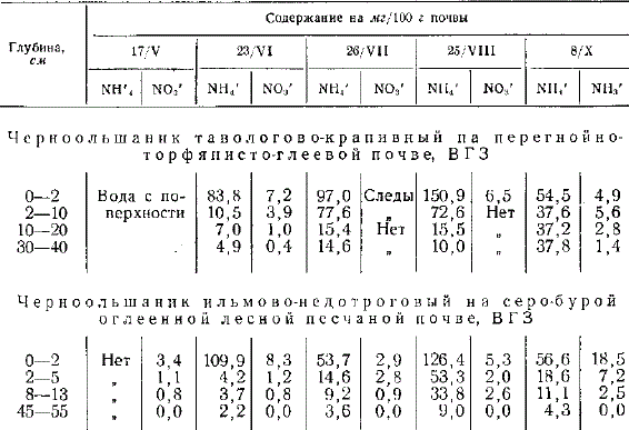 Содержание аммония и нитратов в почвах черноольшаников (аналитик Е. Н. Пластинина)