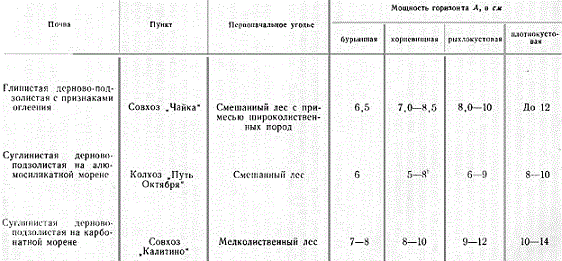 Нарастание мощности перегнойно-аккумулятивного горизонта А1 на различных стадиях дернового процесса (из работ А. Г. Трутнева)