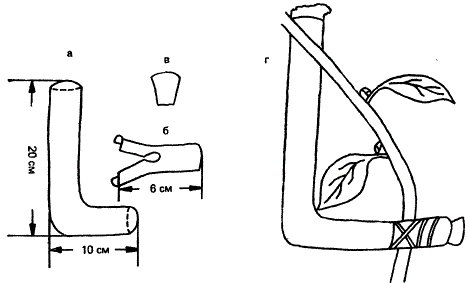 Прибор И. В. Мичурина для укоренения побегов плодовых деревьев