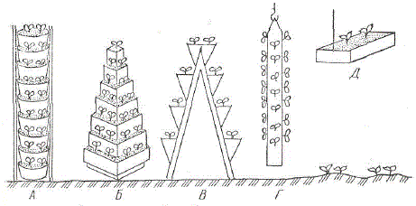 Схема форм-приспособлений для вертикального выращивания земляники (по В. И. Копылову)