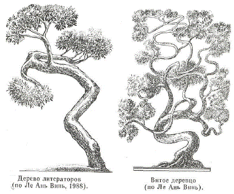Дерево литераторов (по Ле Ань Винь, 1988). Витое деревцо (по Ле Ань Винь)