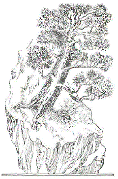 Деревцо в камне (по Ле Ань Винь)