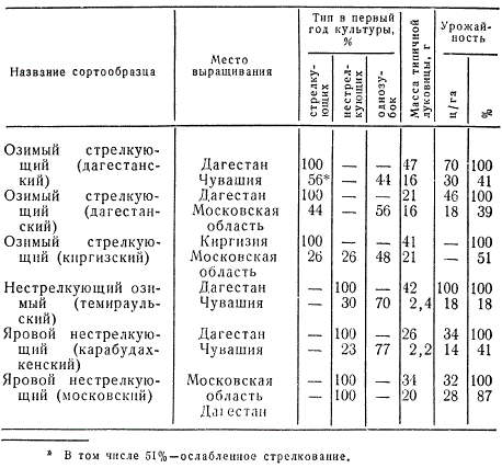 Изменчивость хозяйственных признаков чеснока при посадке без учета экологических условий произрастания