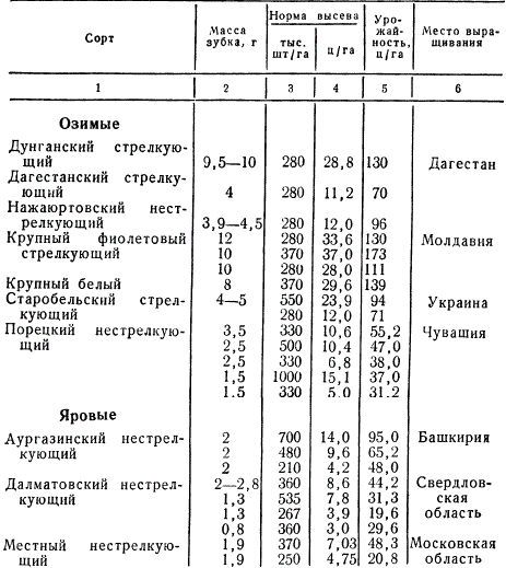 Зависимость урожайности чеснока от нормы посева