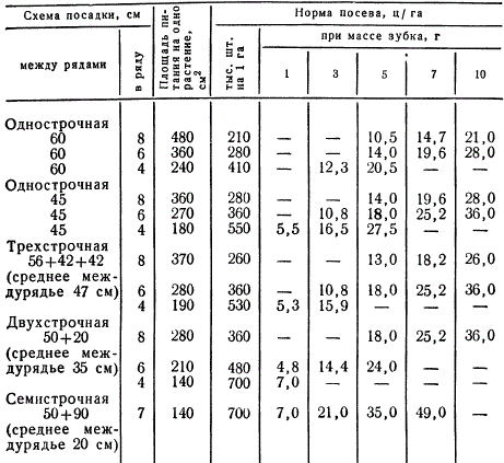 Примерные нормы посева чеснока при разной величине посадочного материала и площади питания