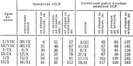 Влияние срока посадки на продолжительность всходов и отрастание корней у озимого нестрелкующего чеснока