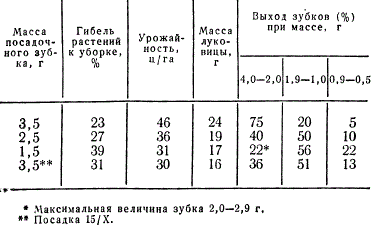 Влияние величины зубка на урожайность и структуру луковицы нестрелкующего озимого чеснока сорта Порецкий (посадка 15/IX)