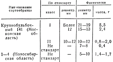 Соотношение диаметра и массы севка чеснока