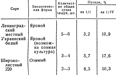 Потери разных сортов нестрелкующего чеснока в период хранения (по данным А. А. Казаковой)