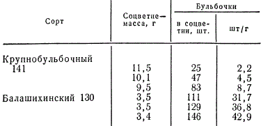 Внутрисортовая изменчивость по величине бульбочек озимых стрелкующих сортов