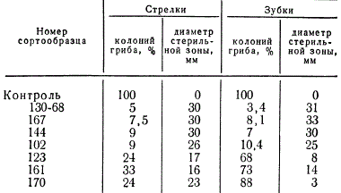 Фитонцидная активность некоторых озимых стрелкующих сортообразцов чеснока