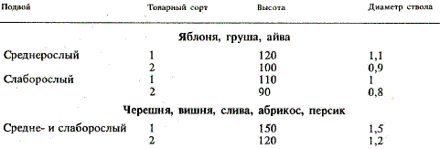 Параметры надземной части однолетних саженцев без сформированной кроны, см, не менее