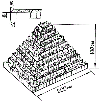 Выращивание земляники на пирамидах